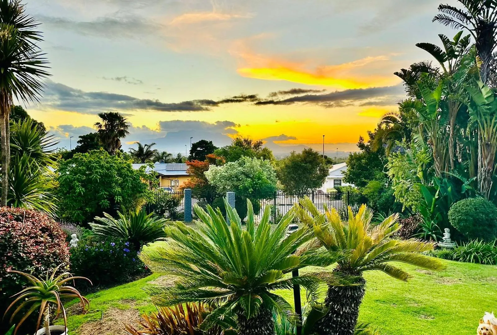 Tatil Evi Bonita Vista Plattekloof Villa Cape Town